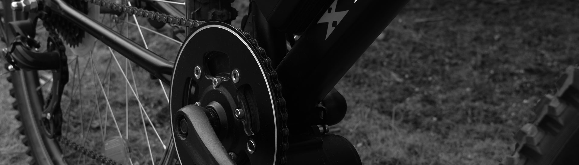 ELTORQ E-bike